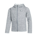 gris clair_5693