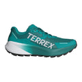 Terrex Agravic 3 Chaussure Trail Hommes-Vert,Gris