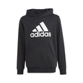 Big Logo Cotton Sweat à capuche Garçons - noir, blanc