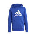 Big Logo Cotton Sweat à capuche Garçons - bleu, blanc