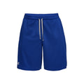 Tech Mesh Shorts Hommes - bleu, gris clair