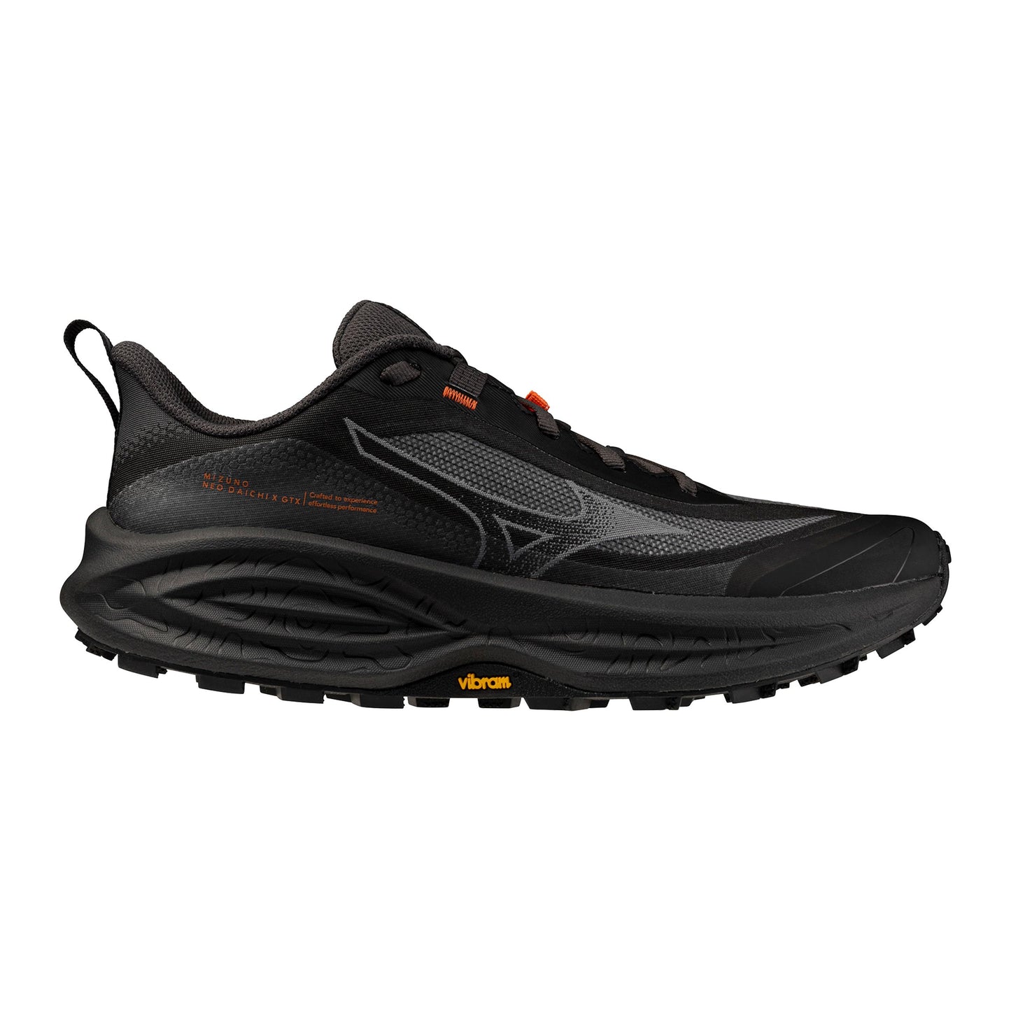Mizuno Neo Daichi 10 GTX Chaussure trail Femmes - noir, gris