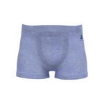 Vêtements Odlo Odlo Performance Light Caleçon Hommes-Bleu