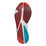 Adizero SL