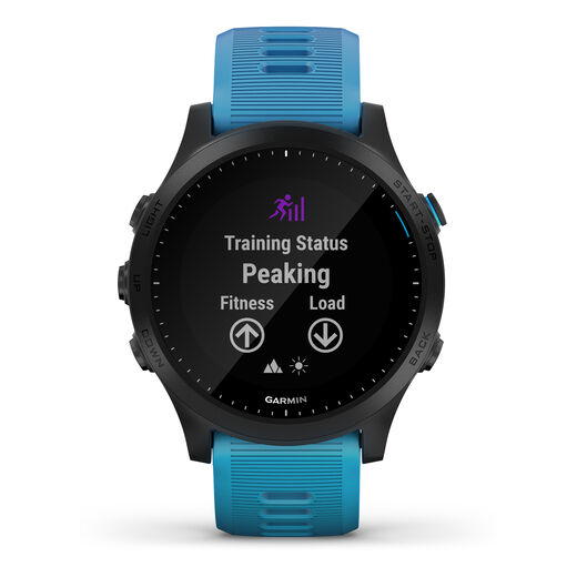 Garmin