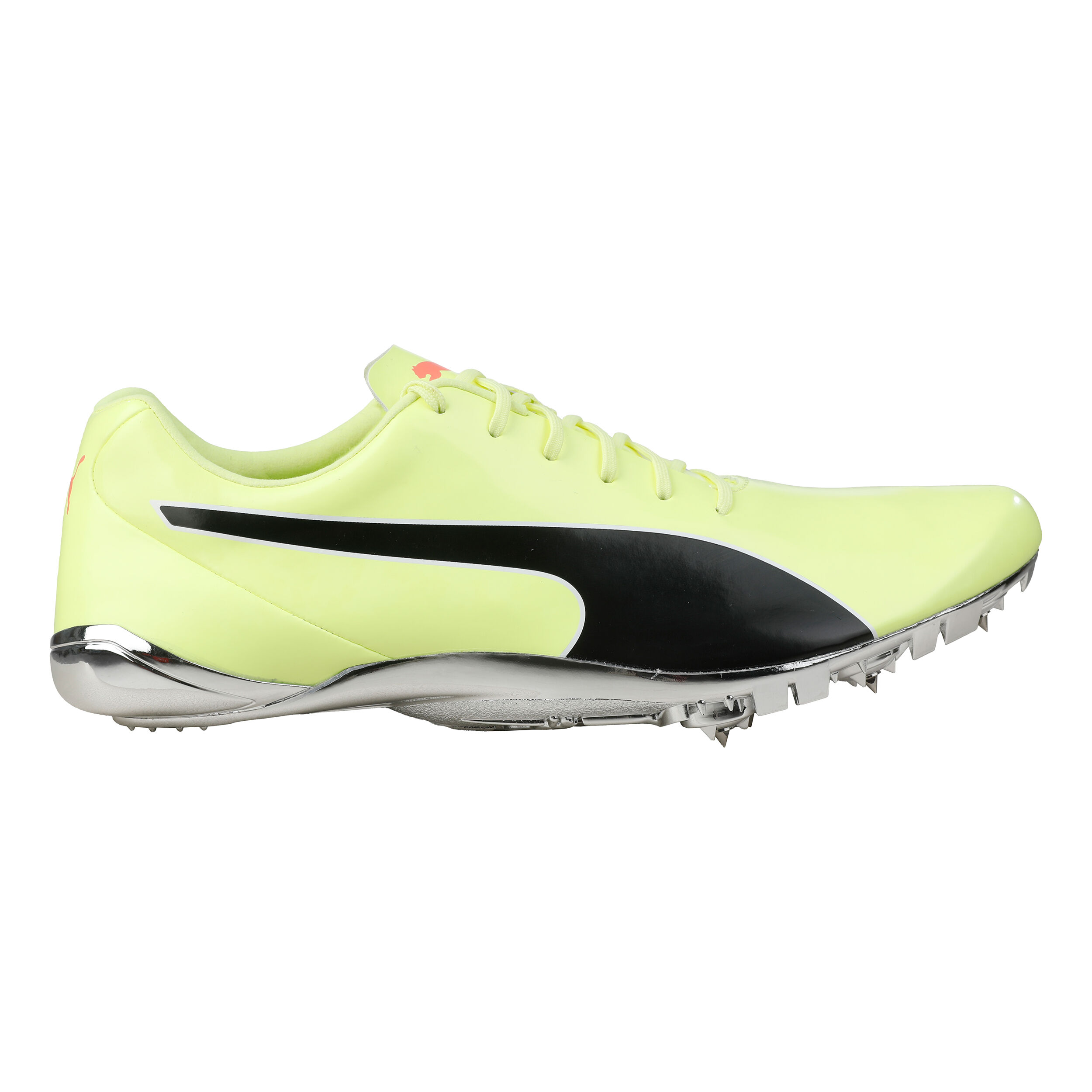 Evospeed puma shoes sales