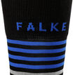 Falke