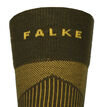 Falke