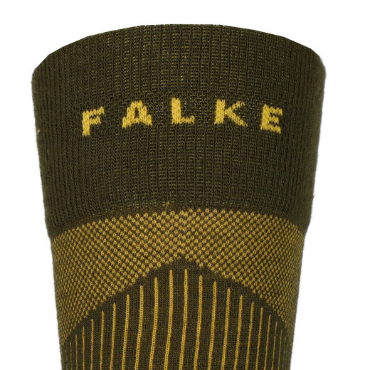 Falke