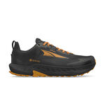 Chaussures De Running Altra Timp 5 GTX