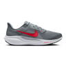 Pegasus 41