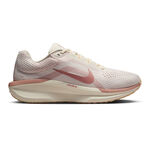 Chaussures De Running Nike Winflo 11