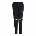 Vêtements adidas Own The Run Colorblock Pants