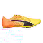 Chaussures De Running Puma evoSPEED FUTURE 6