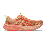 Chaussures De Running ASICS Noosa Tri 16
