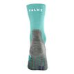 Falke