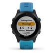 Garmin