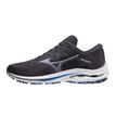 Mizuno