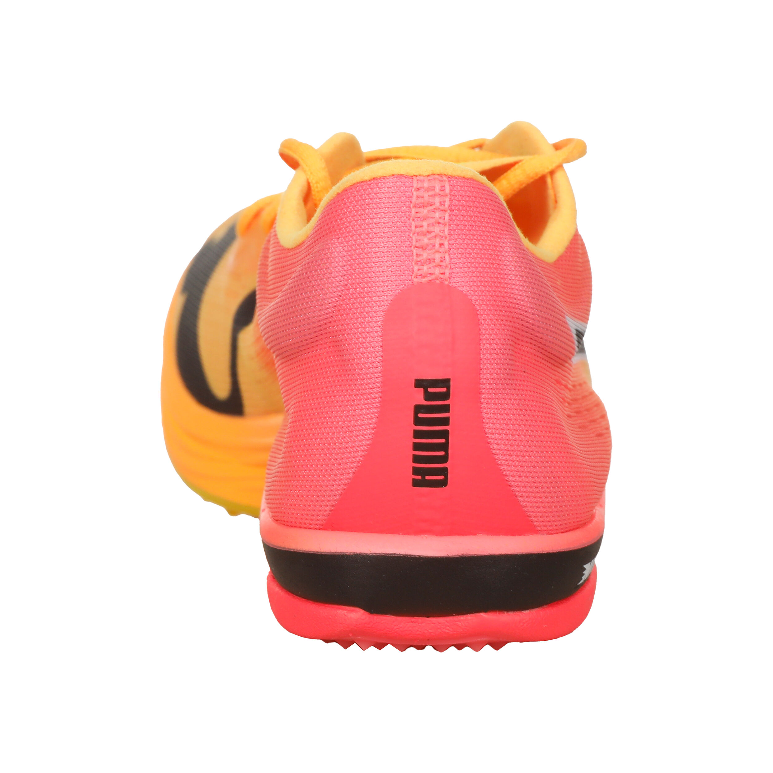 EvoSPEED Long Distance Nitro Elite Spikes Hommes Orange Pink
