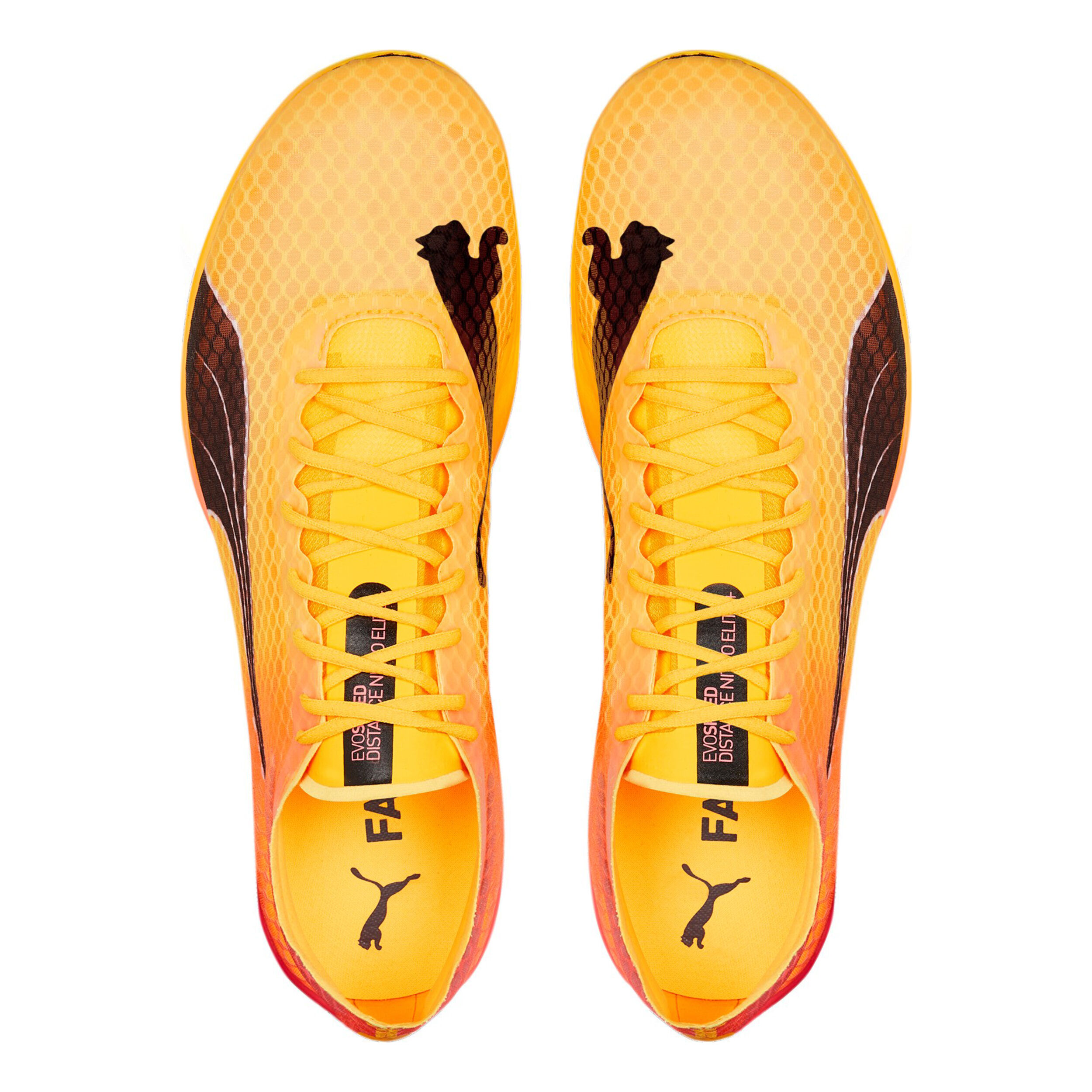 Puma evospeed jaune shop