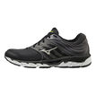 Mizuno