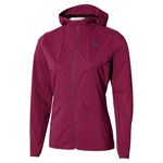 Vêtements Mizuno Tech Thermal Charge Hodded Jacket
