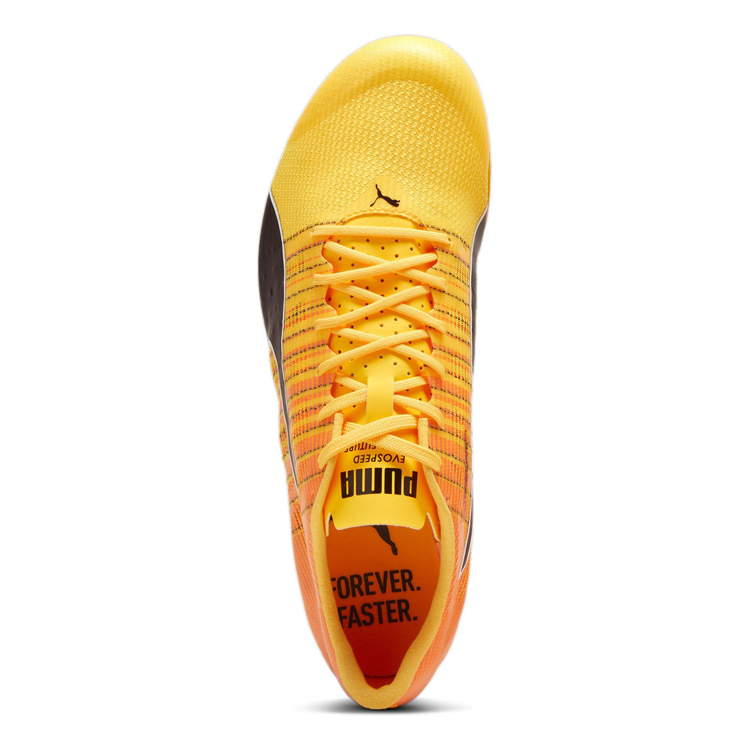 Evospeed shoes on sale