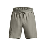 Vêtements Under Armour Run Everywhere Shorts