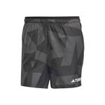 Vêtements adidas Terrex MT Light 5in Short