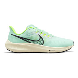 Air Zoom Pegasus 39
