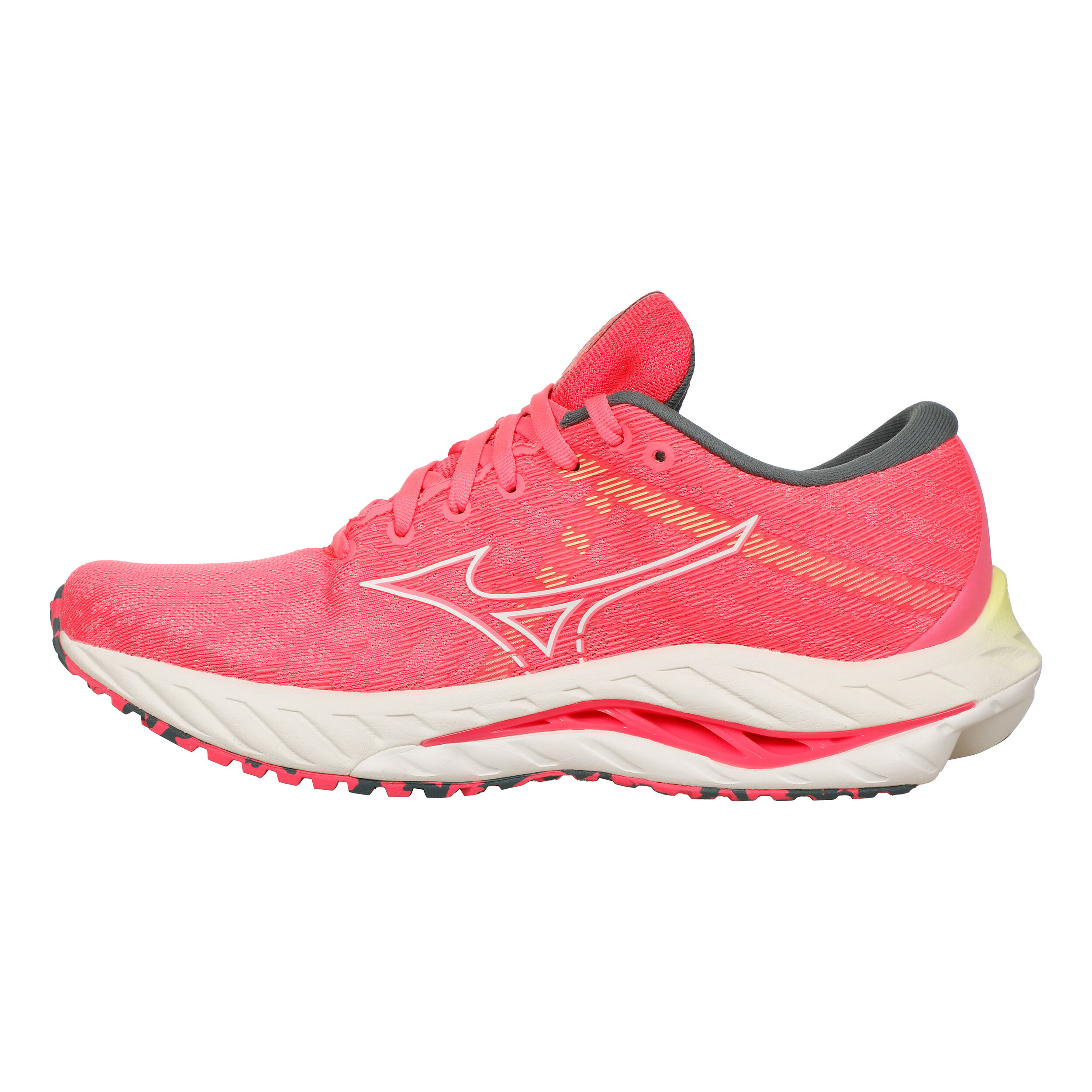 Mizuno wave rider 19 femme online