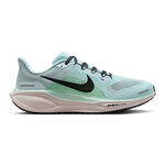 Chaussures De Running Nike Pegasus 41