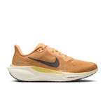 Chaussures De Running Nike Pegasus 41