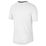 Dri-Fit Miler Tee Men