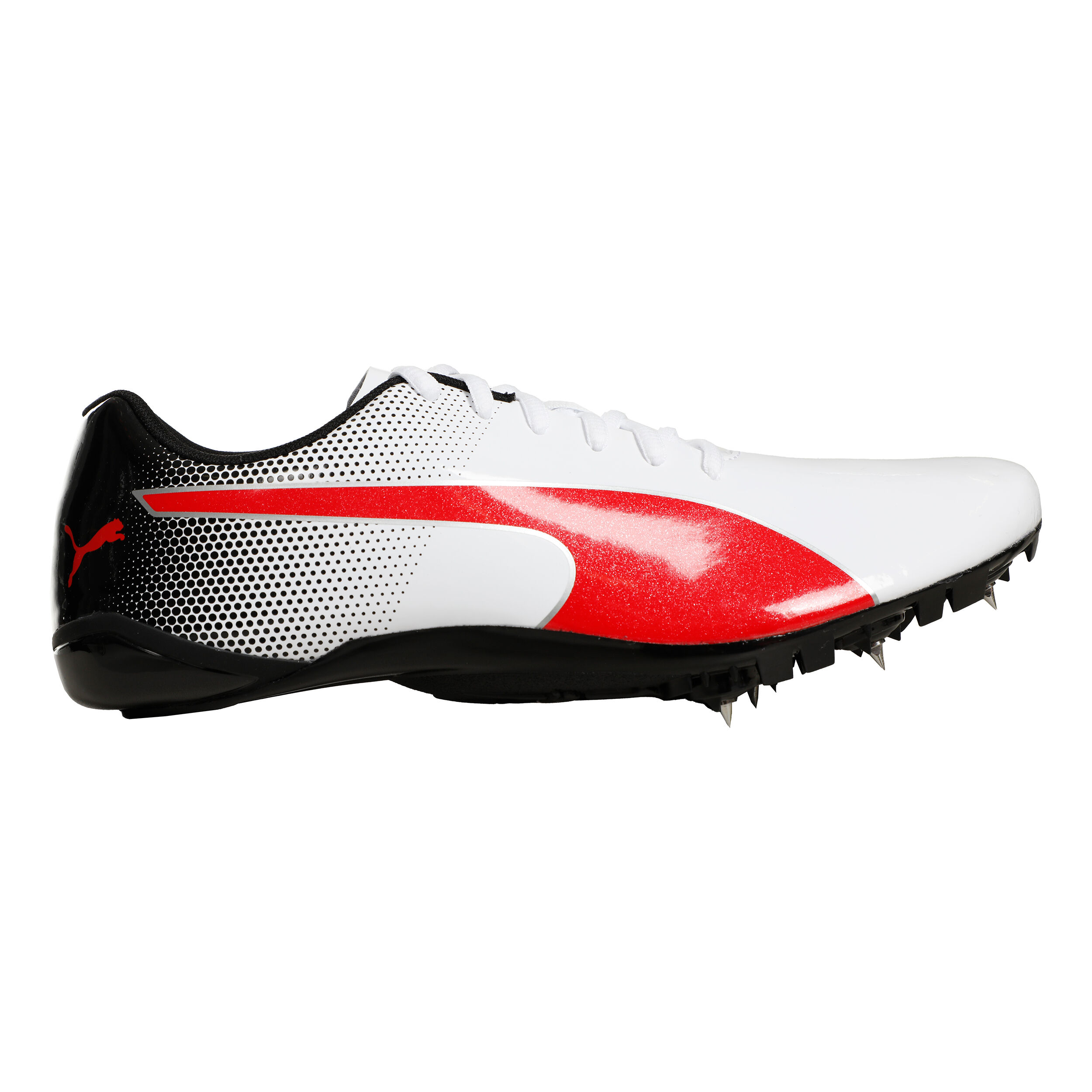 Pointe cheap puma sprint