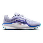 Chaussures de running Nike Nike Winflo 11 Chaussure De Running Sans Stabilisateurs Hommes-Gris Clair,Bleu