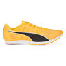 EvoSPEED Distance 11 Spikes-Orange,Noir